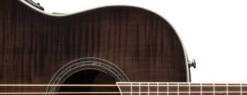 Celebrity Standard Plus Mid Depth Acoustic/Electric - Trans Black Flame Maple